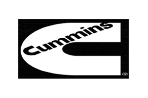 Visit the introduction page of cummins diesel generator